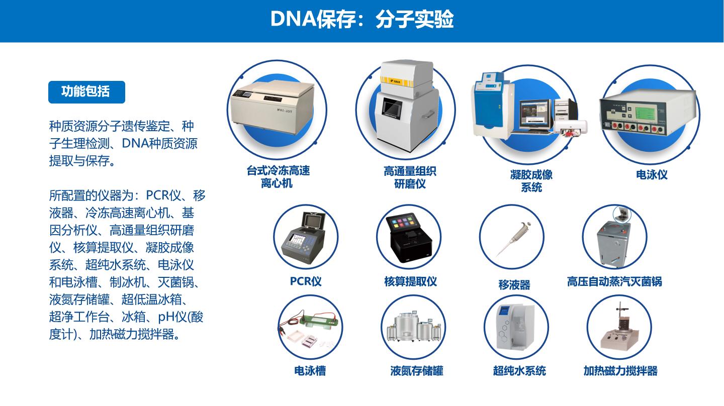 澳门单双中特