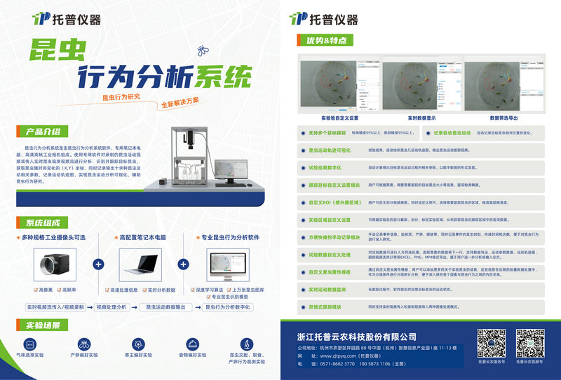 澳门单双中特